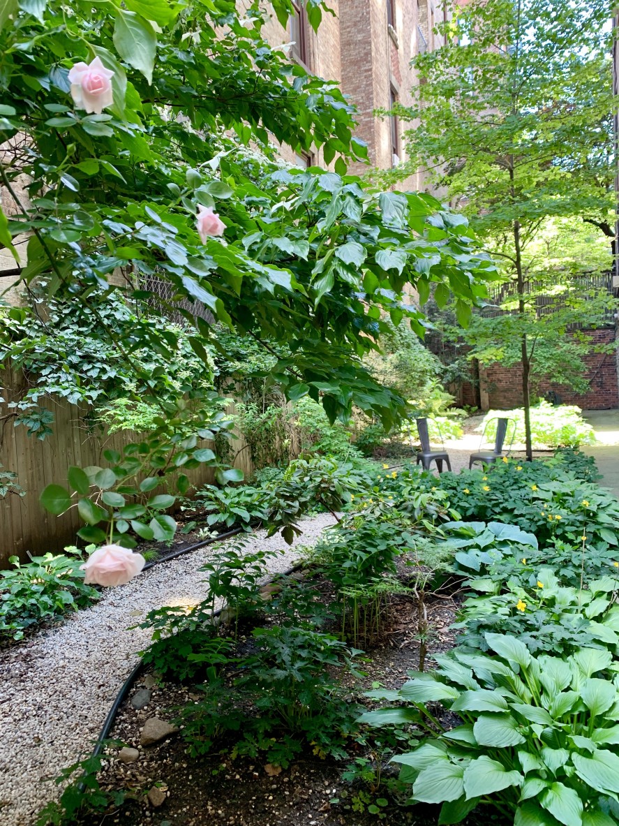 62 Pierrepont Street, Unit 4CD Brooklyn, NY 11201 - Photo 15 of 16