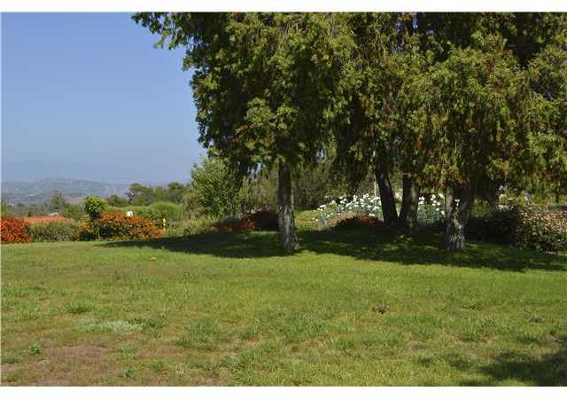 337 Spanish Spur Fallbrook, CA 92028 - Photo 25 of 25 Front yard lush landscape and nice views too!