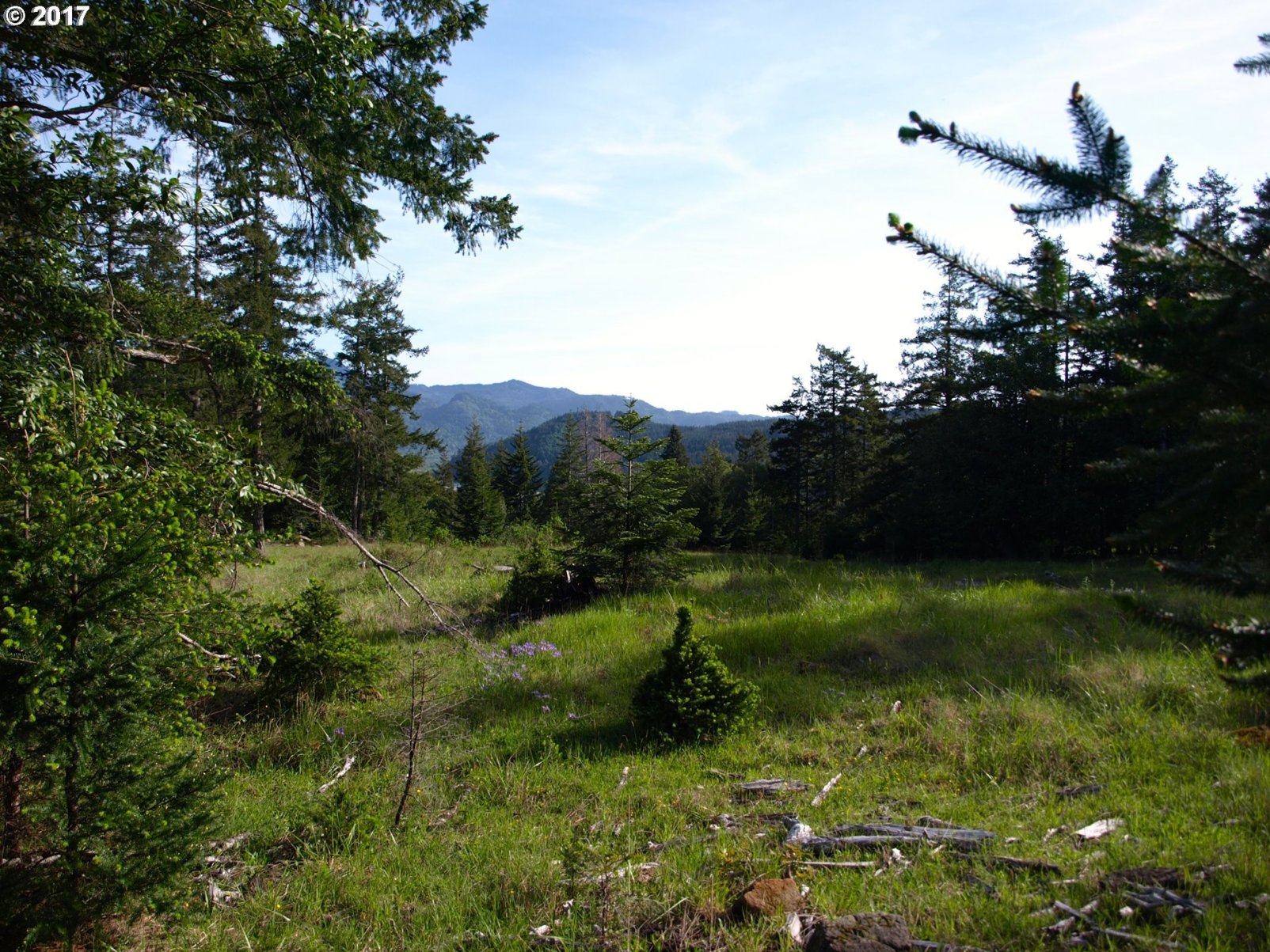 Indian Hills Road Gold Beach, OR 97444 - Photo 1 of 24