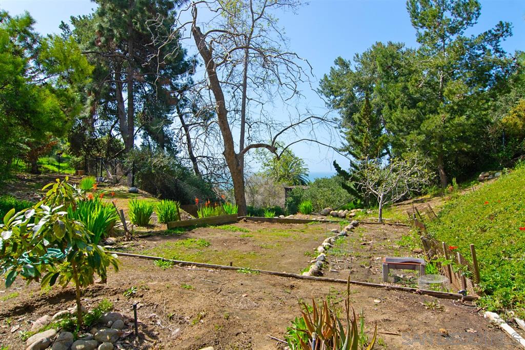 807 La Jolla Rancho Road La Jolla, CA 92037 - Photo 22 of 25