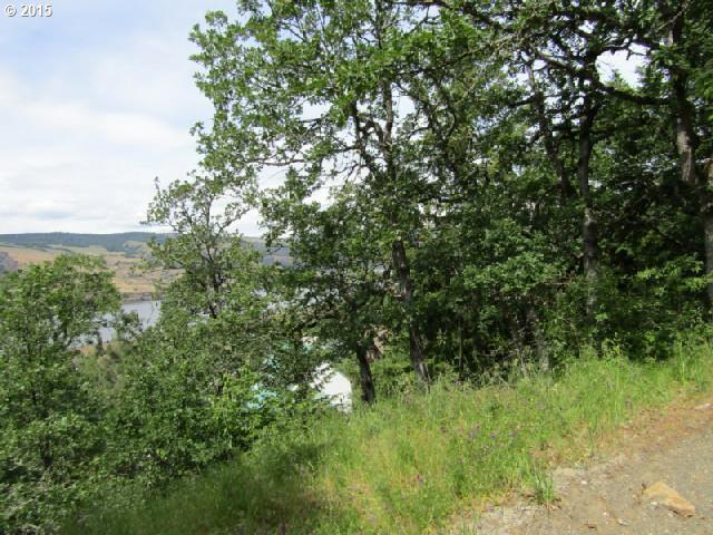 5th Avenue, Unit 10 Mosier, OR 97040 - Photo 2 of 16 Gallery Image 2