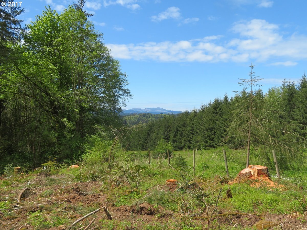 South Military Road Winlock, WA 98596 - Photo 6 of 26