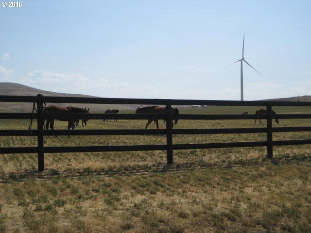 4 Stringstreet Road Goldendale, WA 98620 - Photo 2 of 5 Gallery Image 2