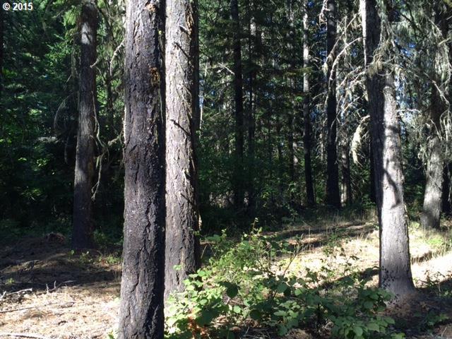 Prairie Road, Unit 54 Appleton, WA 98602 - Photo 10 of 16 Gallery Image 10
