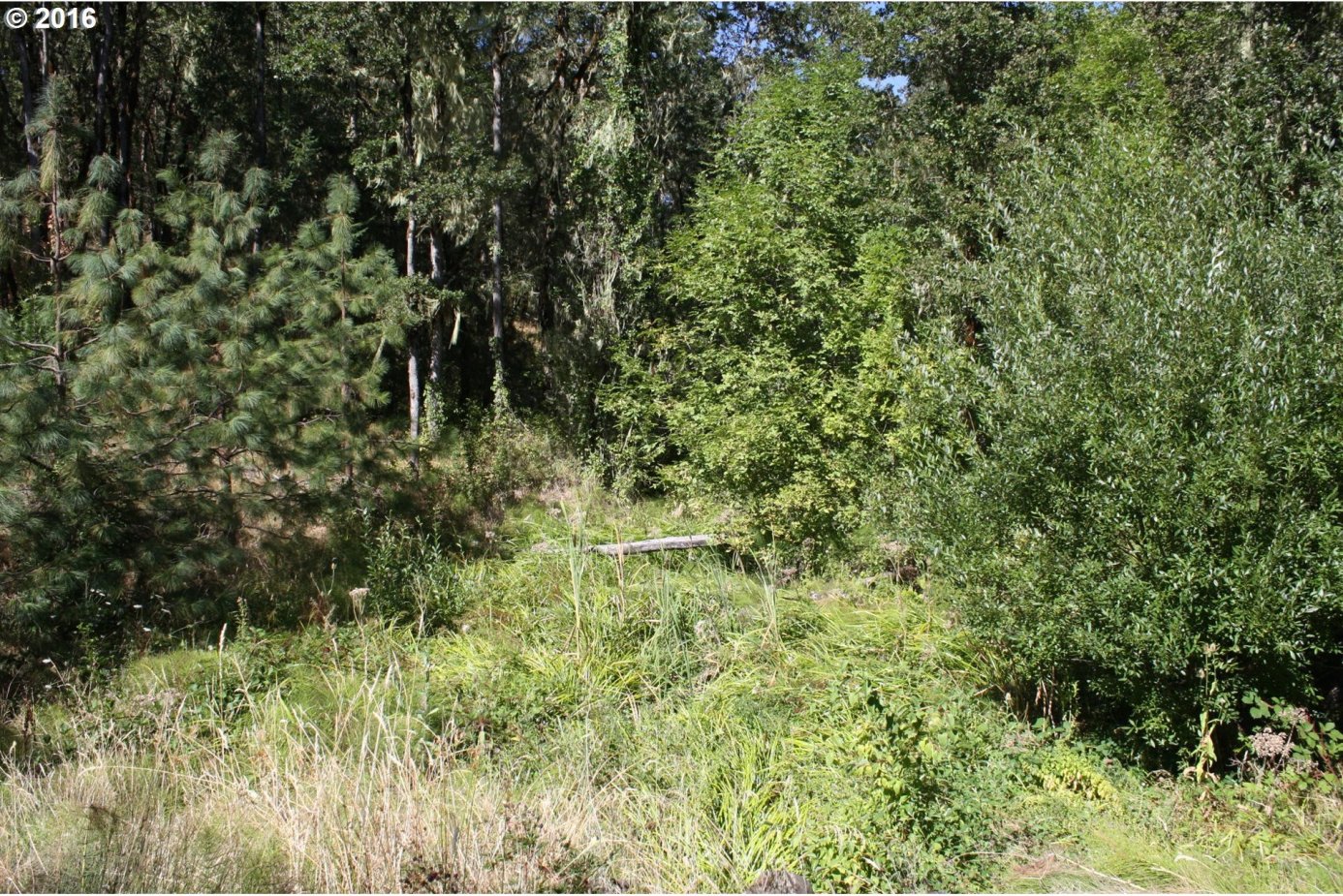 16033 Elkhead Road Oakland, OR 97462 - Photo 5 of 6