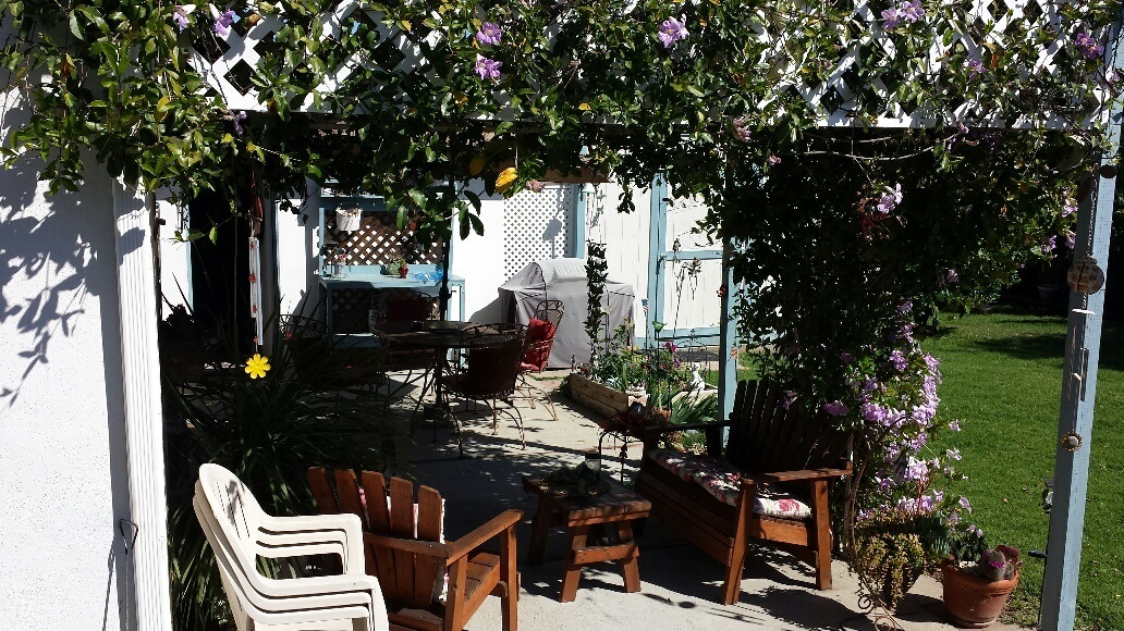 534 West Elder Street Fallbrook, CA 92028 - Photo 7 of 11 Wisteria