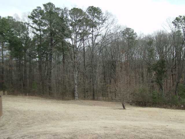 3640 McIngvale Road Hernando, MS 38632 - Photo 12 of 12 Trees
