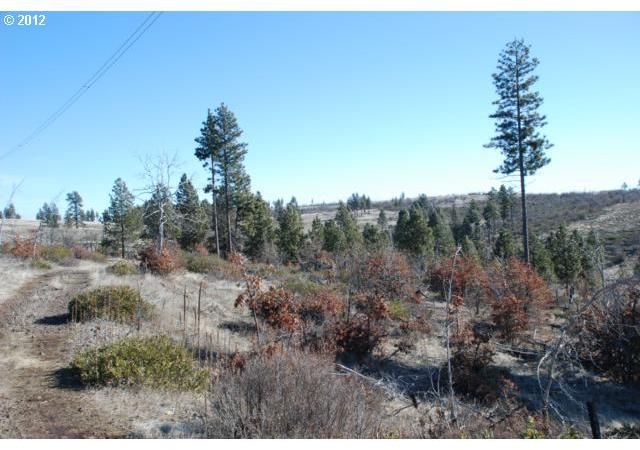 Jensen Quarry Road, Unit 39 Roosevelt, WA 99356 - Photo 1 of 13 Gallery Image 1