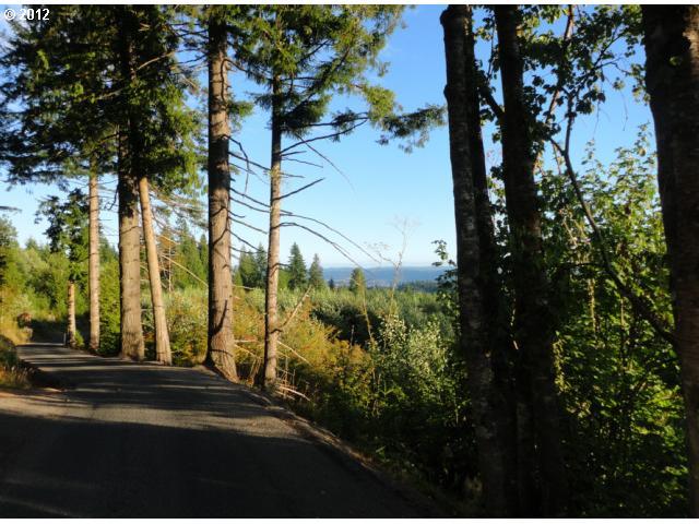 0 Hayru Road Longview, WA 98632 - Photo 3 of 6