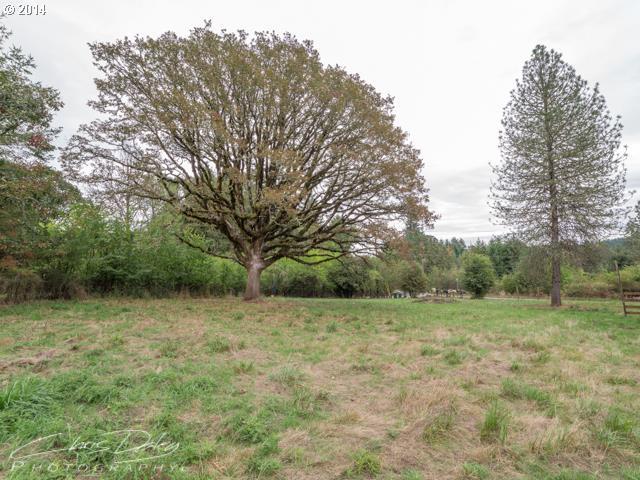 Patton Valley Road Gaston, OR 97119 - Photo 3 of 3