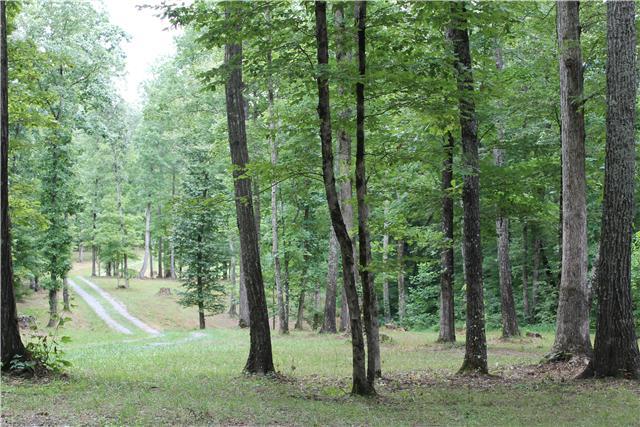 0 Johnny Hall Road Burns, TN 37029 - Photo 13 of 19