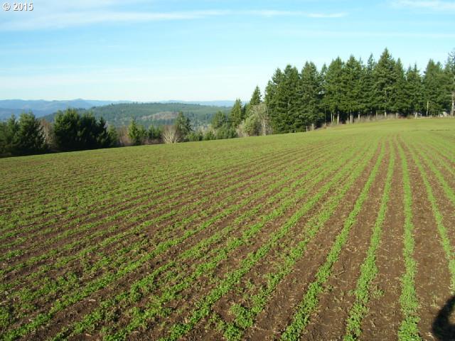 0 Southwest Bald Peak Road, Unit 2 Hillsboro, OR 97123 - Photo 7 of 7 Gallery Image 7