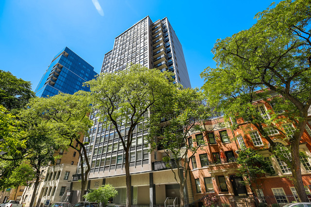 30 E Elm St, Chicago, IL 60611 - Photo 2 of 17