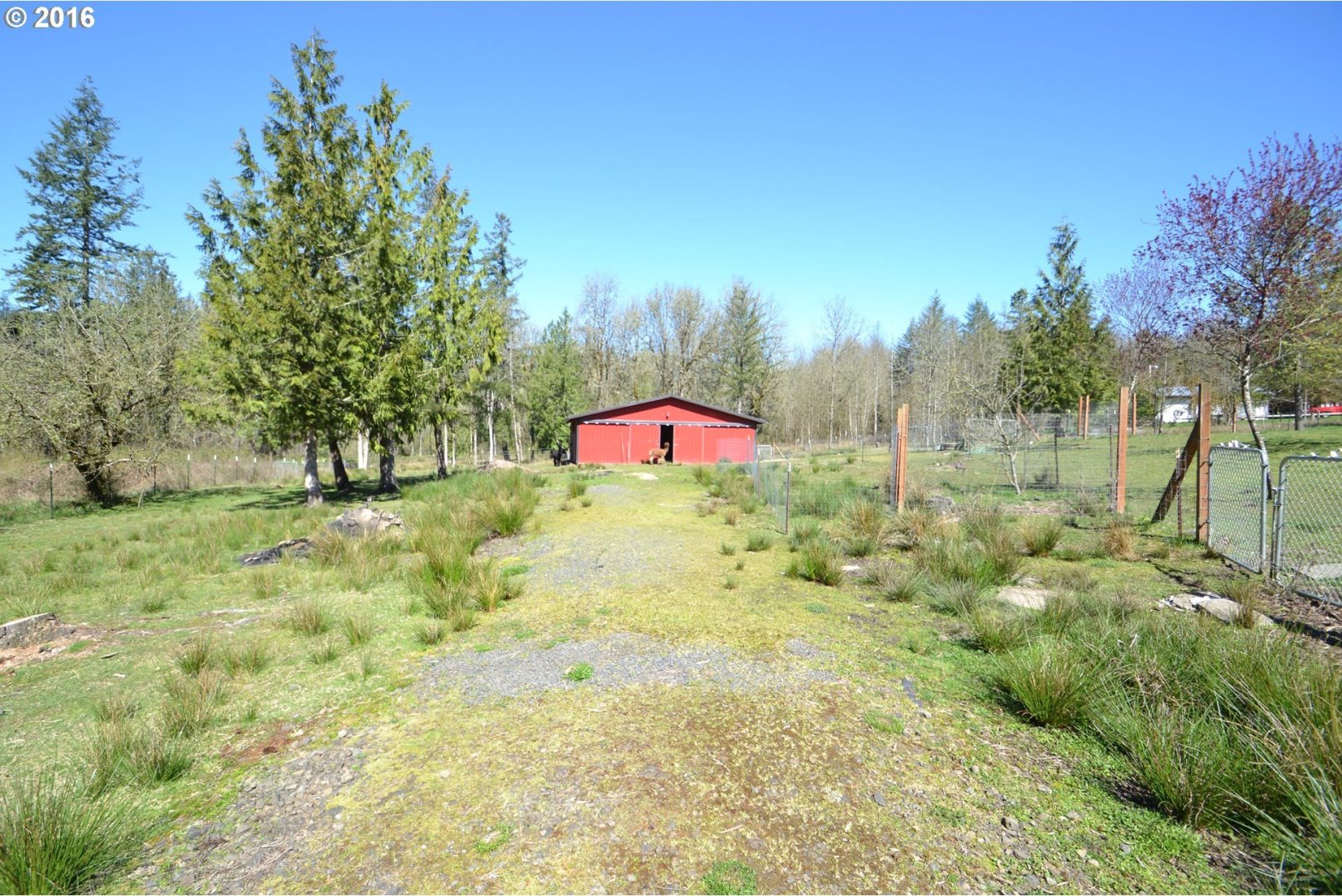 2900 Rose Valley Road Kelso, WA 98626 - Photo 22 of 25 Gallery Image 22