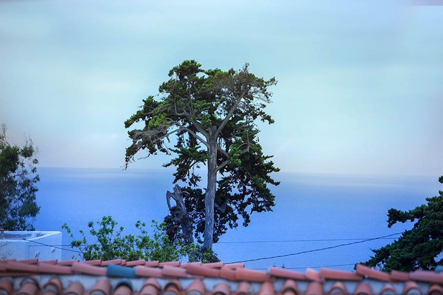 549 Rimini Road Del Mar, CA 92014 - Photo 25 of 25