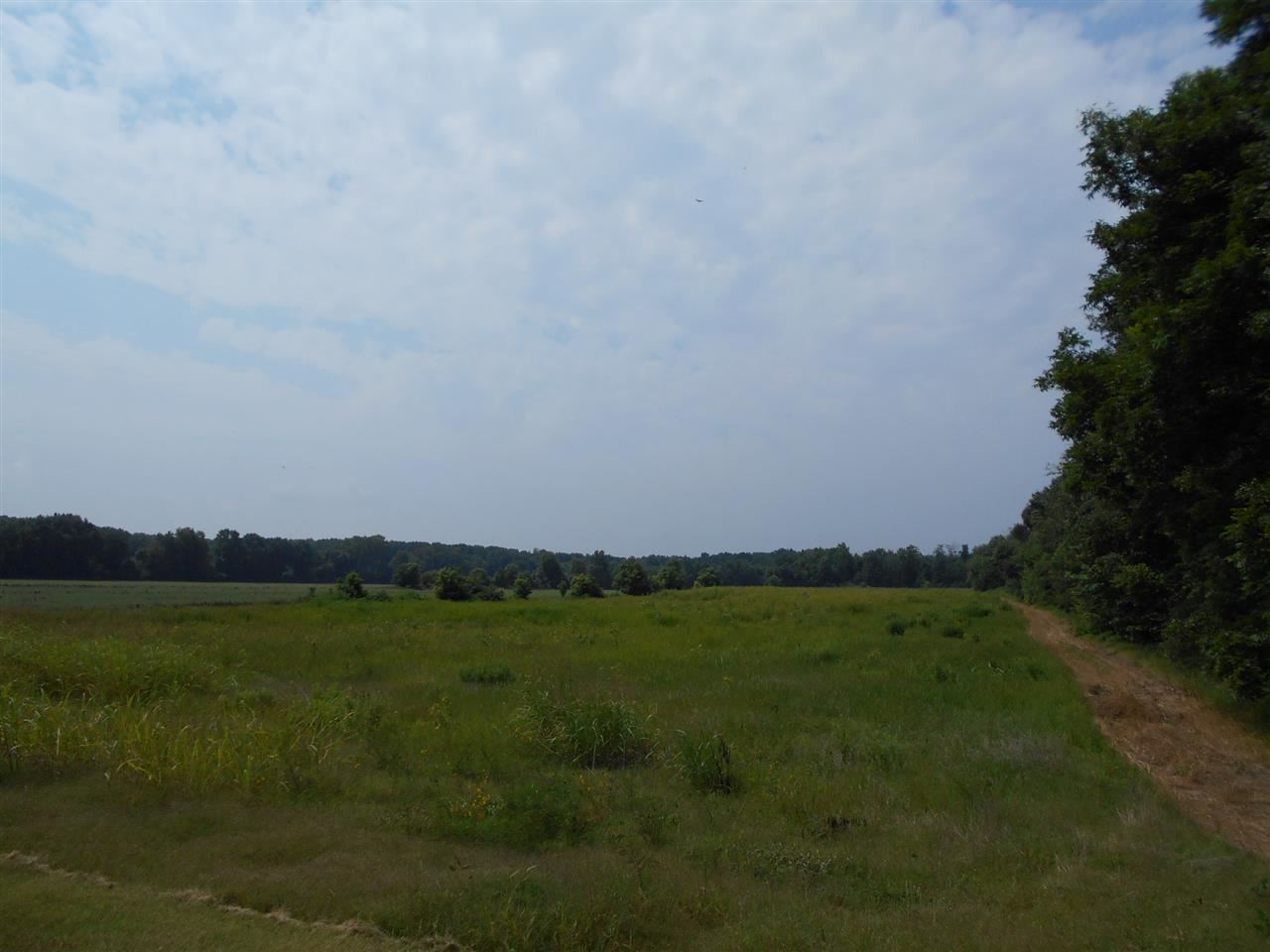 0 Junius Lee Road Ripley, TN 38063 - Photo 1 of 2