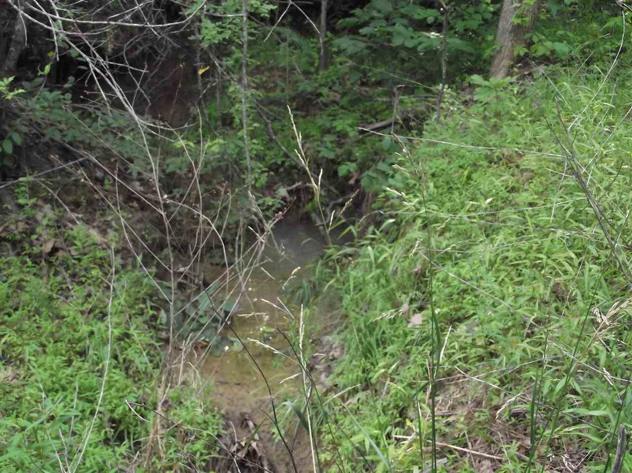 2340 Willis Road Enville, TN 38332 - Photo 13 of 17 Gallery Image 13