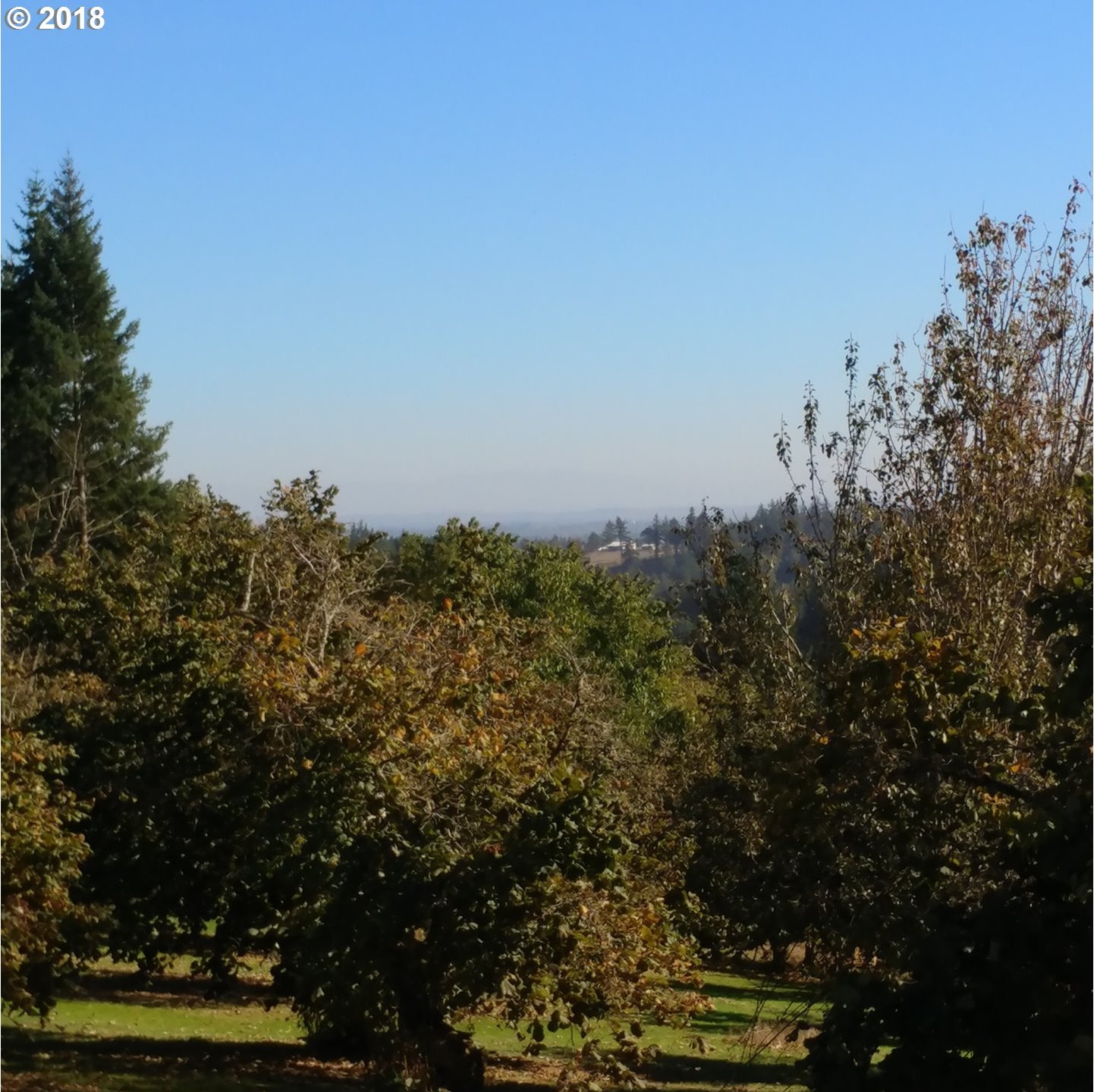 17942 Southeast Walnut Hill Road Amity, OR 97101 - Photo 1 of 19 Gallery Image 1