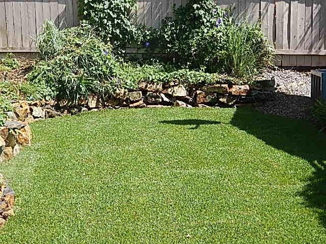 1648 Archer Road San Marcos, CA 92078 - Photo 11 of 25 Great Backyard!
