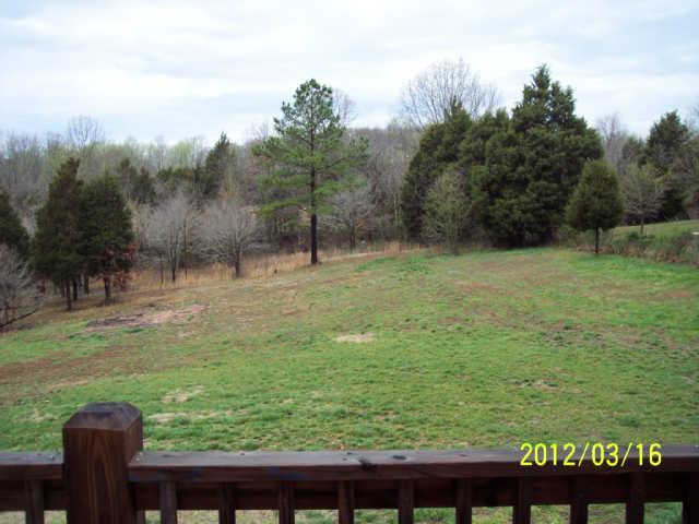245 Lee Road Cottontown, TN 37048 - Photo 8 of 18 Large back yard