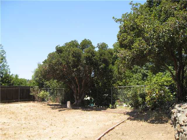 12516 Taunt Road Poway, CA 92064 - Photo 13 of 17 SHOT OF LARGE YARD....SWINGSETS....SOMEWHERE TO THROW THE DOG...LET'M DIG A LITTLE!!!!