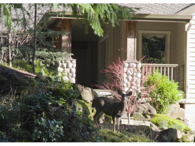 82 Wakina Road Stevenson, WA 98648 - Photo 3 of 16 Gallery Image 3