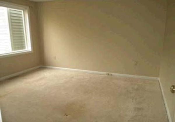 155 Stone Ridge Road, Unit 155 Franklin, MA 02038 - Photo 8 of 18 Gallery Image 8