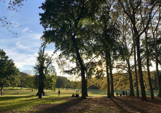 $630,000 | 185 Ocean Avenue, Unit 4B | Prospect Lefferts Gardens