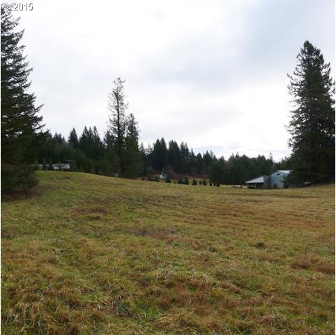 0 Alder Road Washougal, WA 98671 - Photo 2 of 13 Gallery Image 2