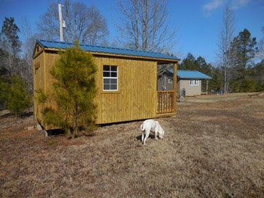 3585 Old Union Road Adamsville, TN 38310 - Photo 8 of 18 Gallery Image 8