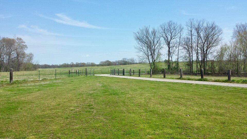 980 Duscoe Road Somerville, TN 38068 - Photo 24 of 25 Gallery Image 24