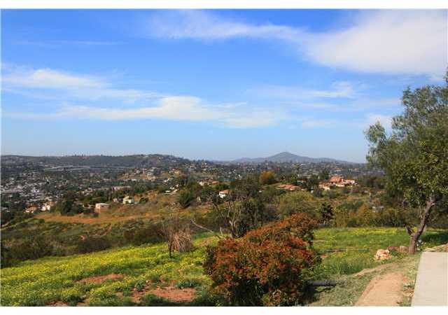 9296 Ivy Lane Spring Valley, CA 91977 - Photo 3 of 20 Gallery Image 3
