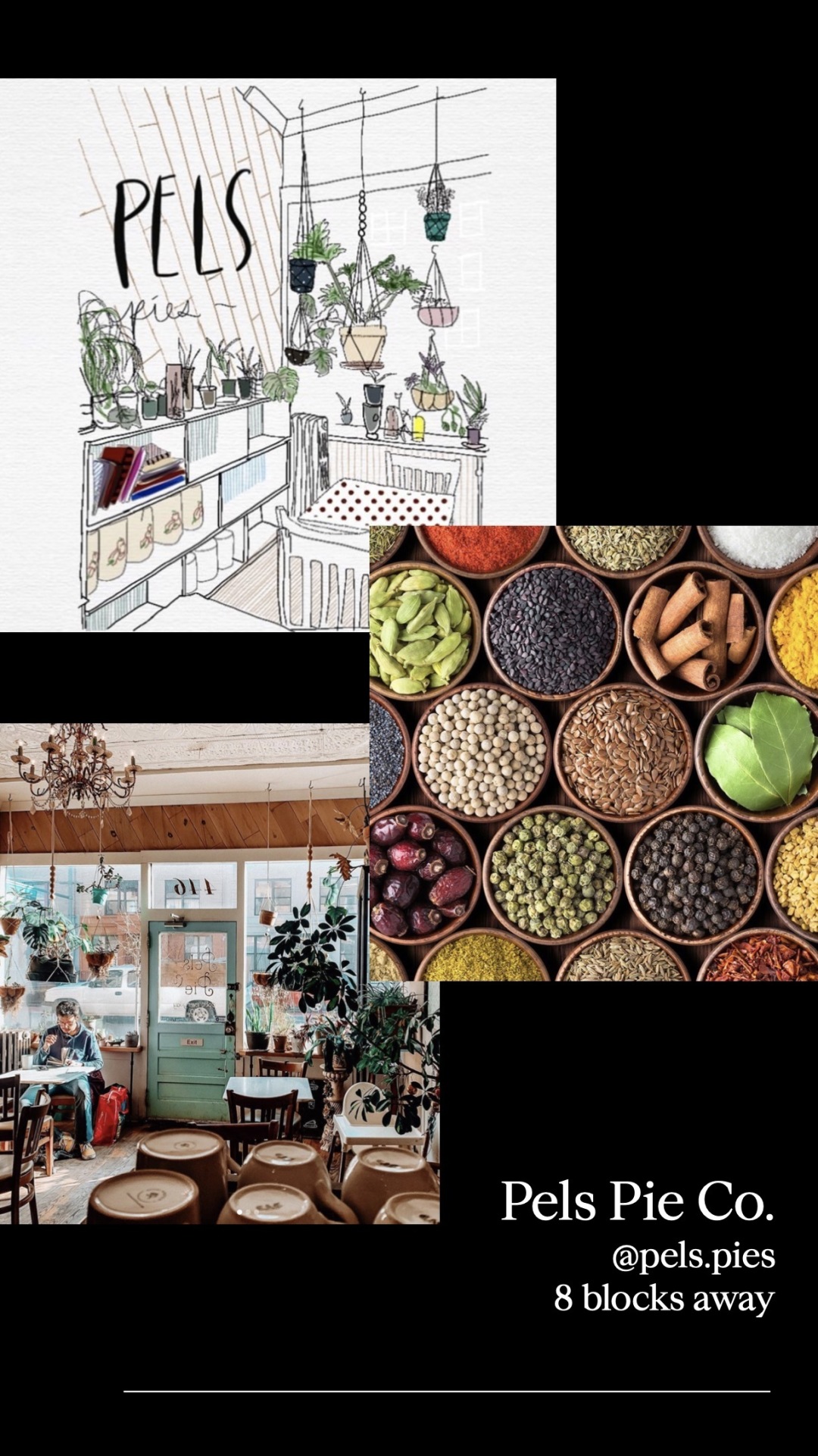 195 Clarkson Avenue, Unit 2B Brooklyn, NY 11226 - Photo 23 of 26