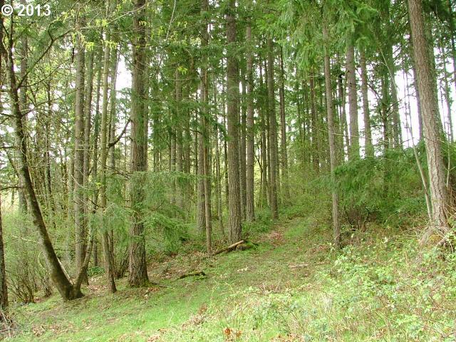35840 Morning Star Road Pleasant Hill, OR 97455 - Photo 12 of 15