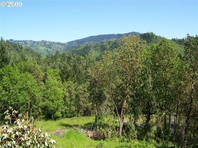 1374 Clarks Branch Road Myrtle Creek, OR 97457 - Photo 7 of 7 Gallery Image 7