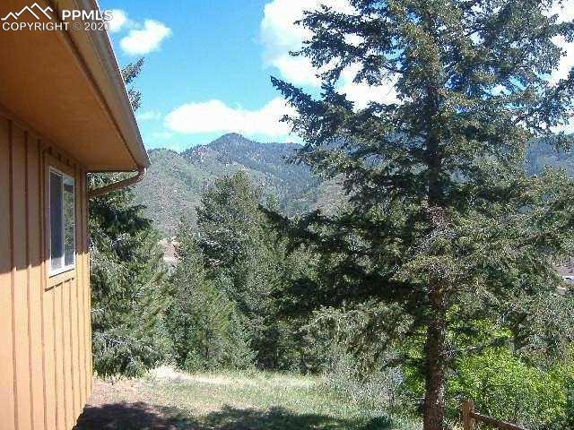 5580 Moosa Road, Unit CHIPITA Cascade, CO 80809 - Photo 5 of 11