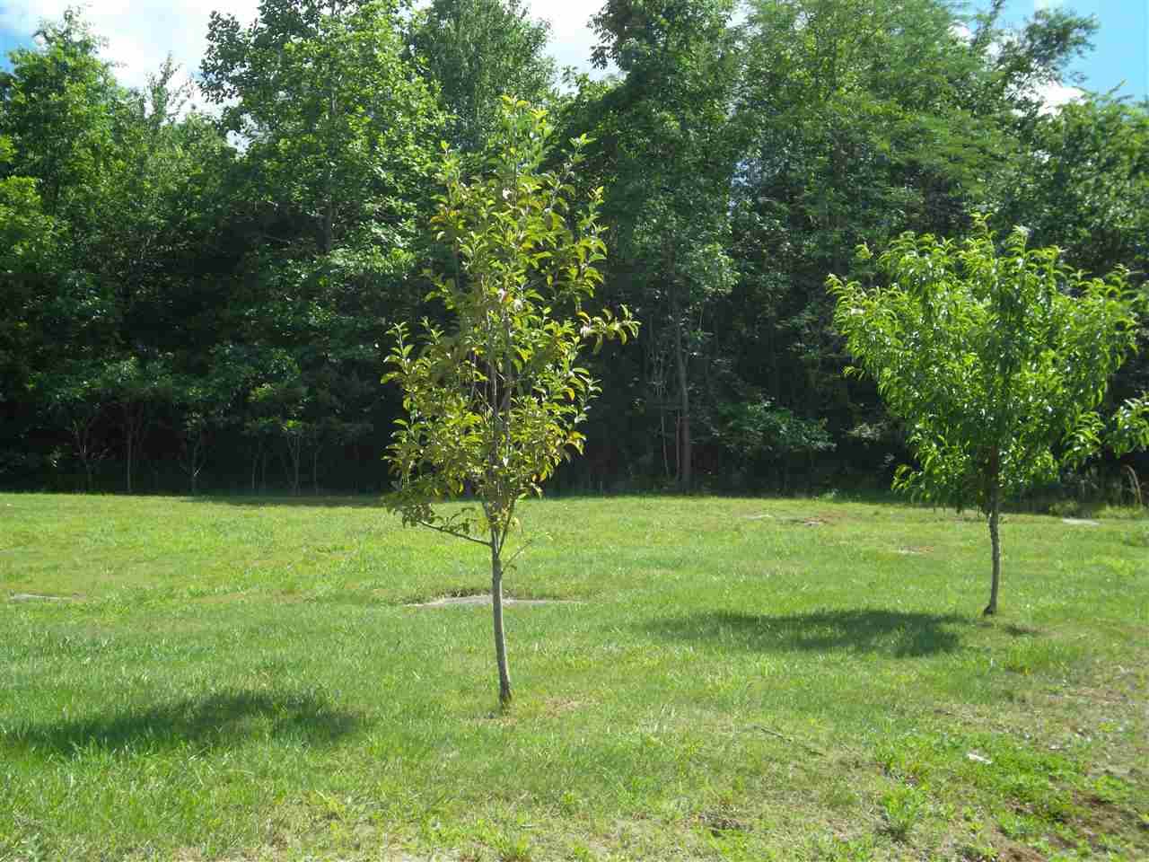 6924 Beech Creek Road Clifton, TN 38425 - Photo 24 of 25 Gallery Image 24