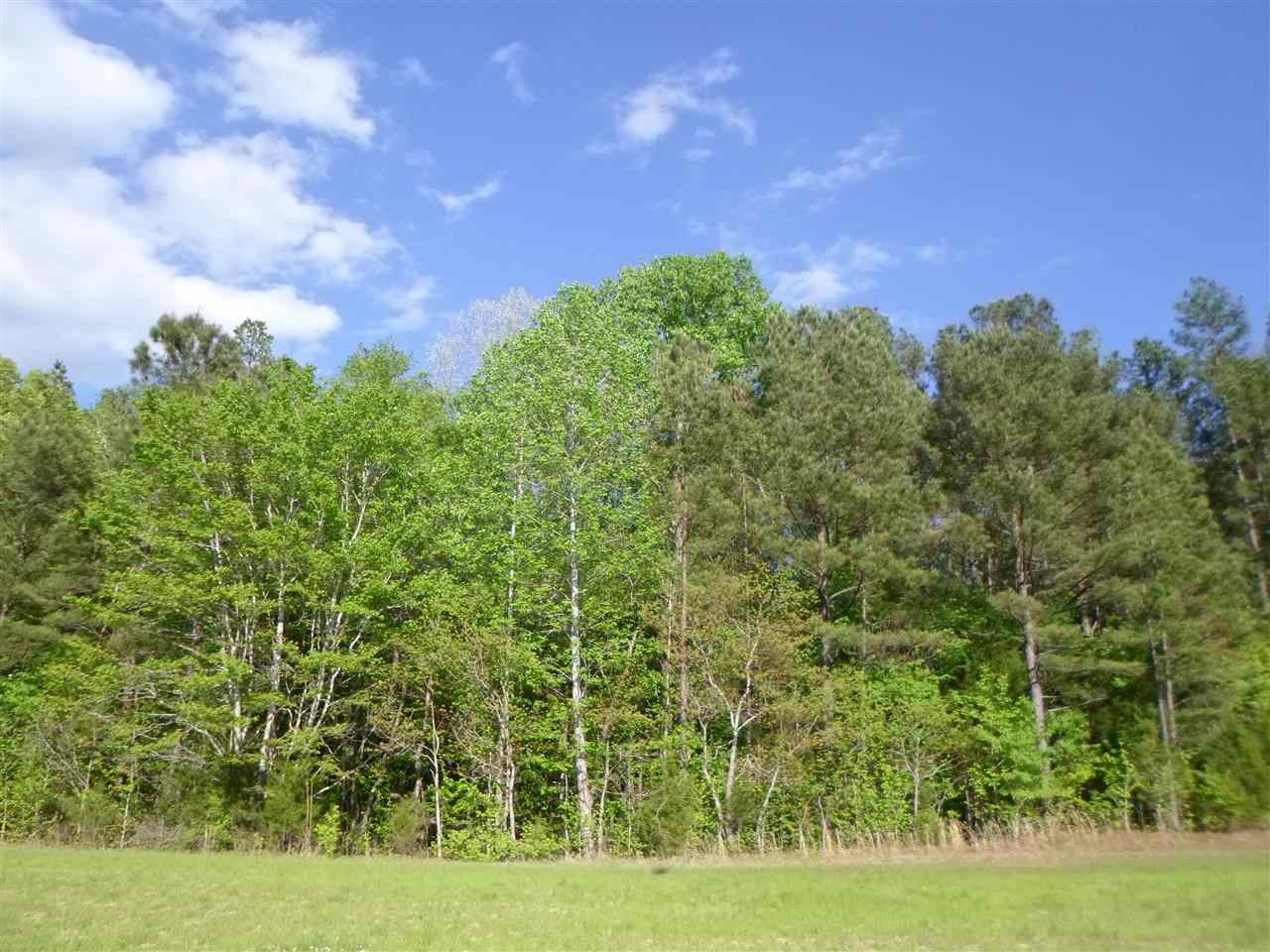 Craig Road Sardis, TN 38371 - Photo 6 of 7