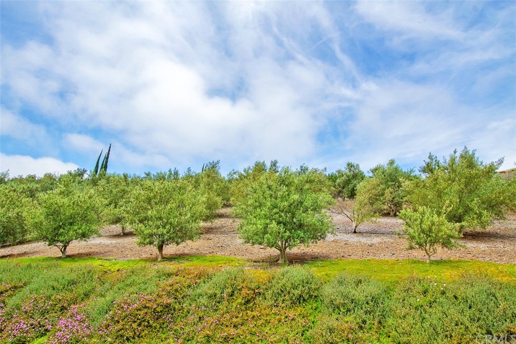 25652 El Chaval Place Temecula, CA 92590 - Photo 66 of 74