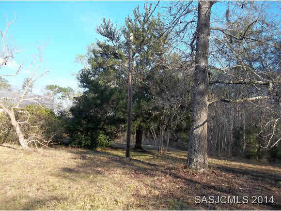 5060 Scaff Road St. Augustine, FL 32092 - Photo 3 of 7 Back Yard