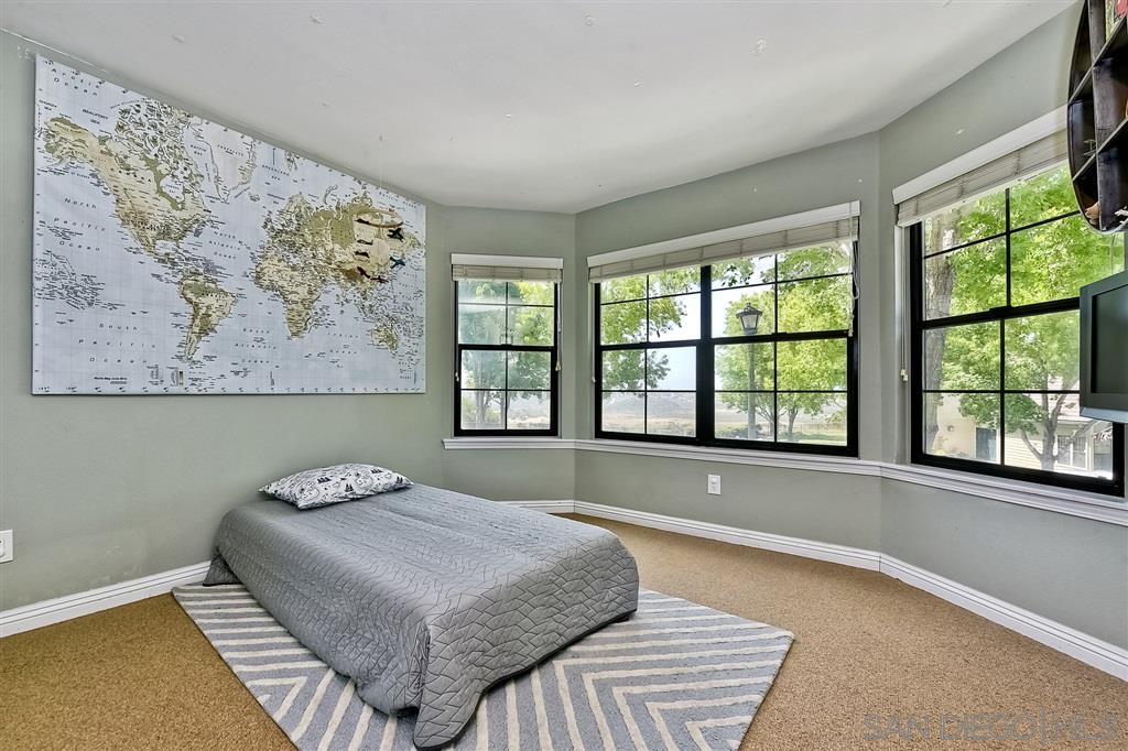 3756 Brand Crest Encinitas, CA 92024 - Photo 12 of 25 En suite bedroom with beautiful views from front of home.