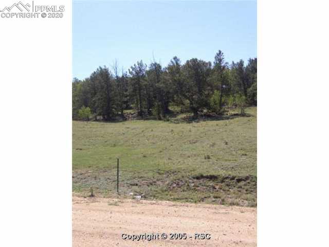 256 Yellowstone Road Hartsel, CO 80449 - Photo 5 of 6