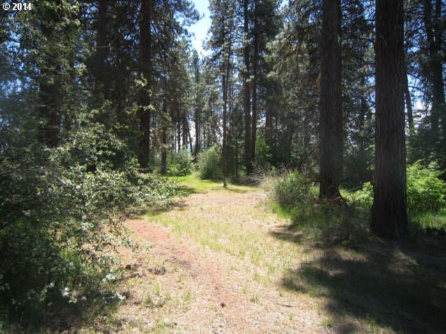 Drake Drive Chiloquin, OR 97624 - Photo 11 of 13 Gallery Image 11