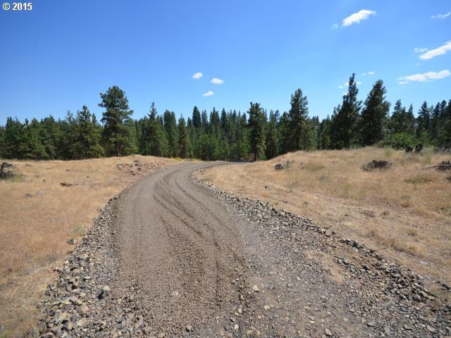 South D V Cool Road Wamic, OR 97063 - Photo 2 of 16 Gallery Image 2
