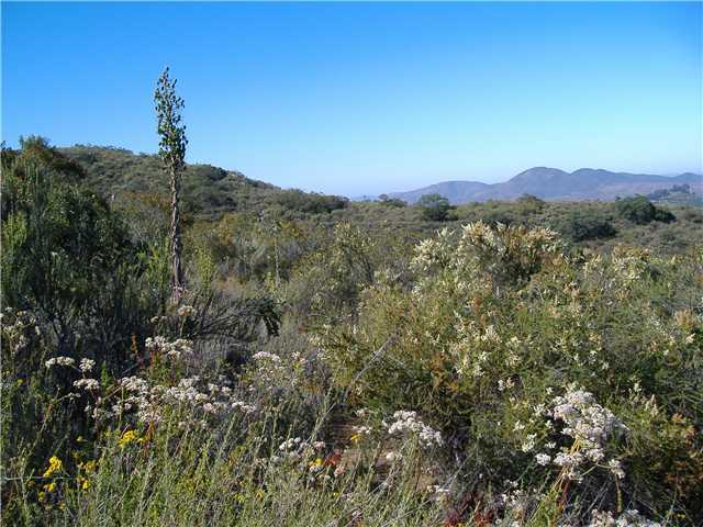 15000 Lyons Valley Road Jamul, CA 91935 - Photo 5 of 10 View Looking Southwest. Naturally Landscaped.