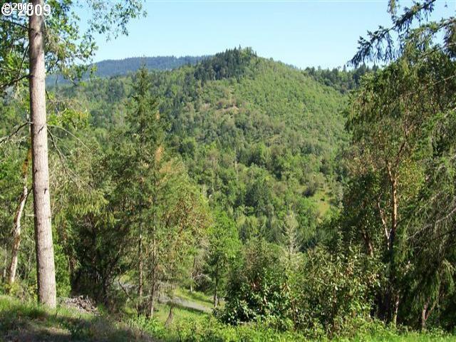 1368 Clarks Branch Road Myrtle Creek, OR 97457 - Photo 1 of 7 Gallery Image 1