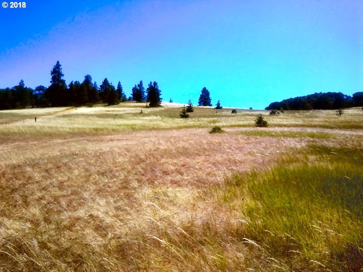 Mcclure Mosier, OR 97040 - Photo 3 of 6 Gallery Image 3