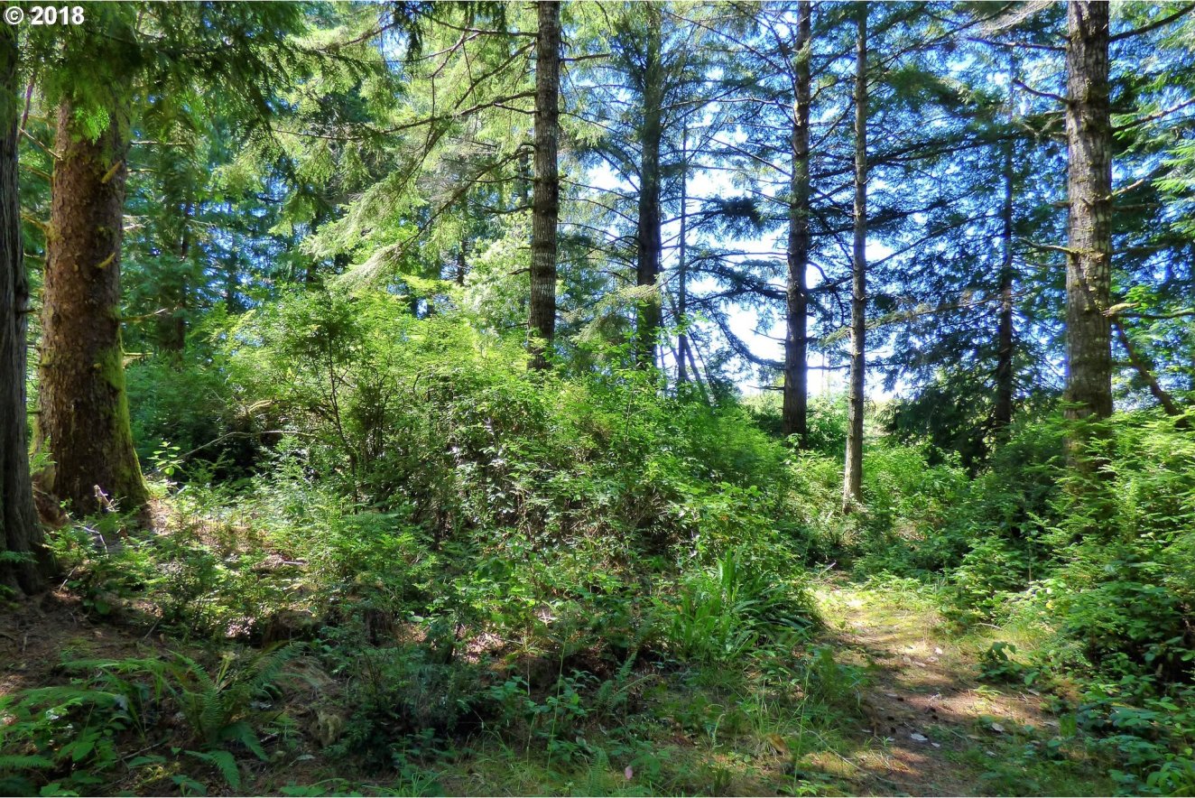 54380 Rosa Road Bandon, OR 97411 - Photo 13 of 25 Gallery Image 13
