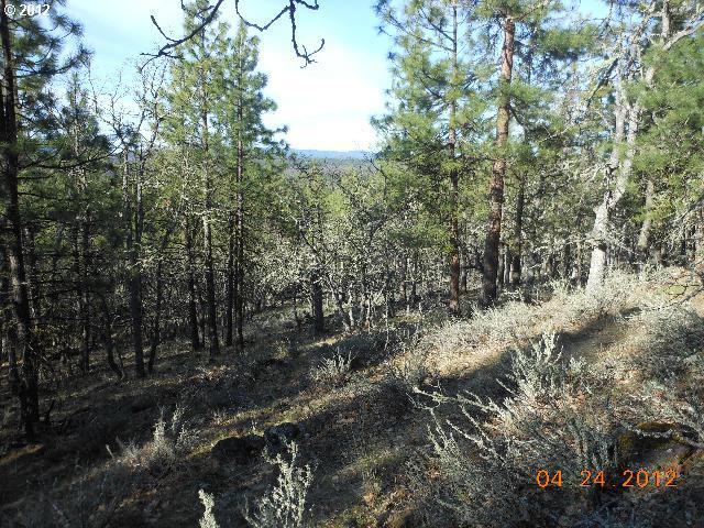 Log Cabin Road Goldendale, WA 98620 - Photo 12 of 16 Gallery Image 12