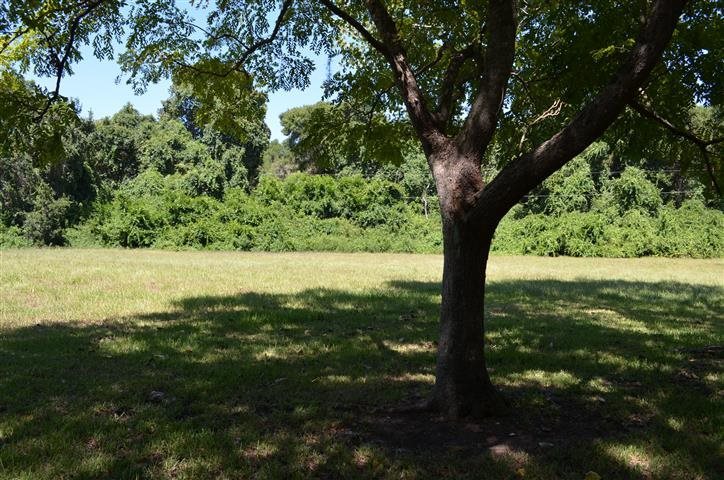 0 Vaill Point Road St. Augustine, FL 32086 - Photo 7 of 9